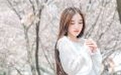 成在人线A片无码免费网址1